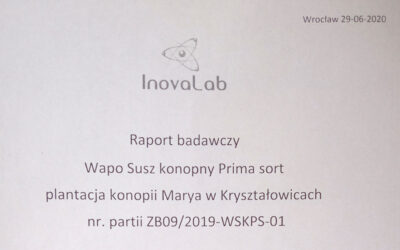 Badania suszu konopnego Prima Sort na zawartość CBD i THC